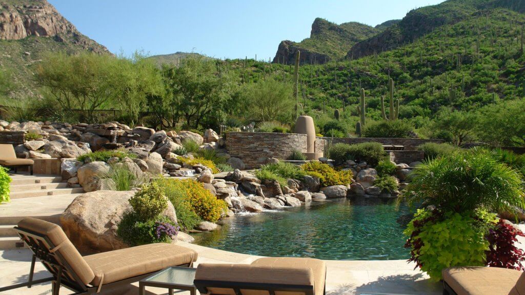 Large backyard in Arizona with a custom landscape design and a pool